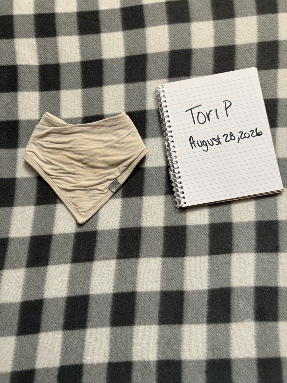 Kyte BABY Oat Bib